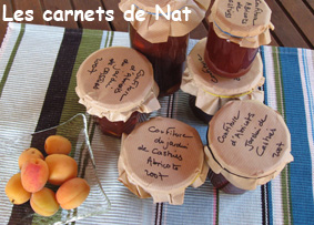 Confiture d’abricots-1