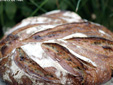 Pains au levain