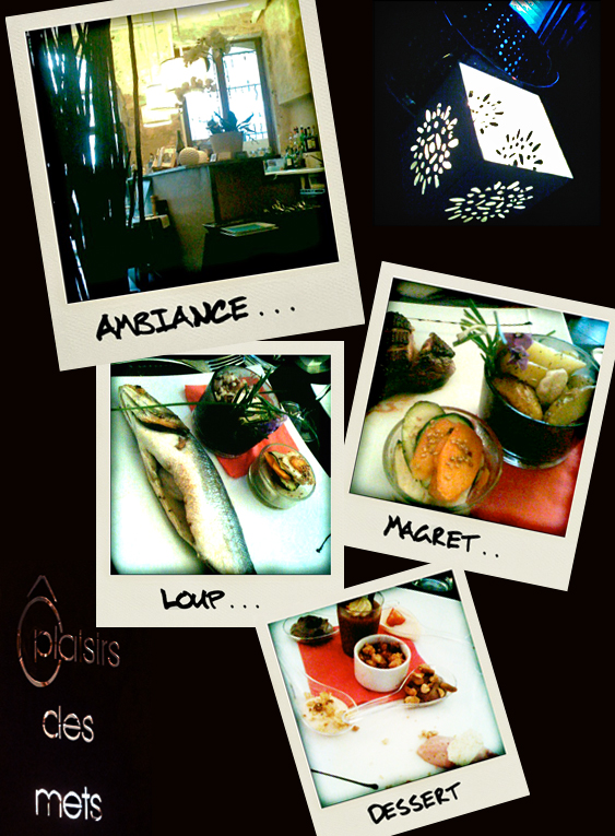 Restaurant Ô plaisirs des mets